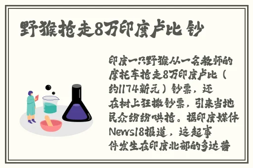 王拉拉升职记xK_8014